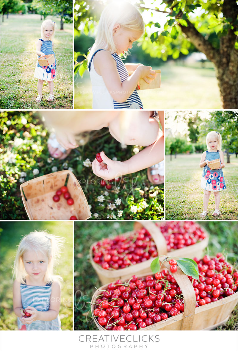 cherry-orchard-photography Grimsby Cherry Orchard Photography