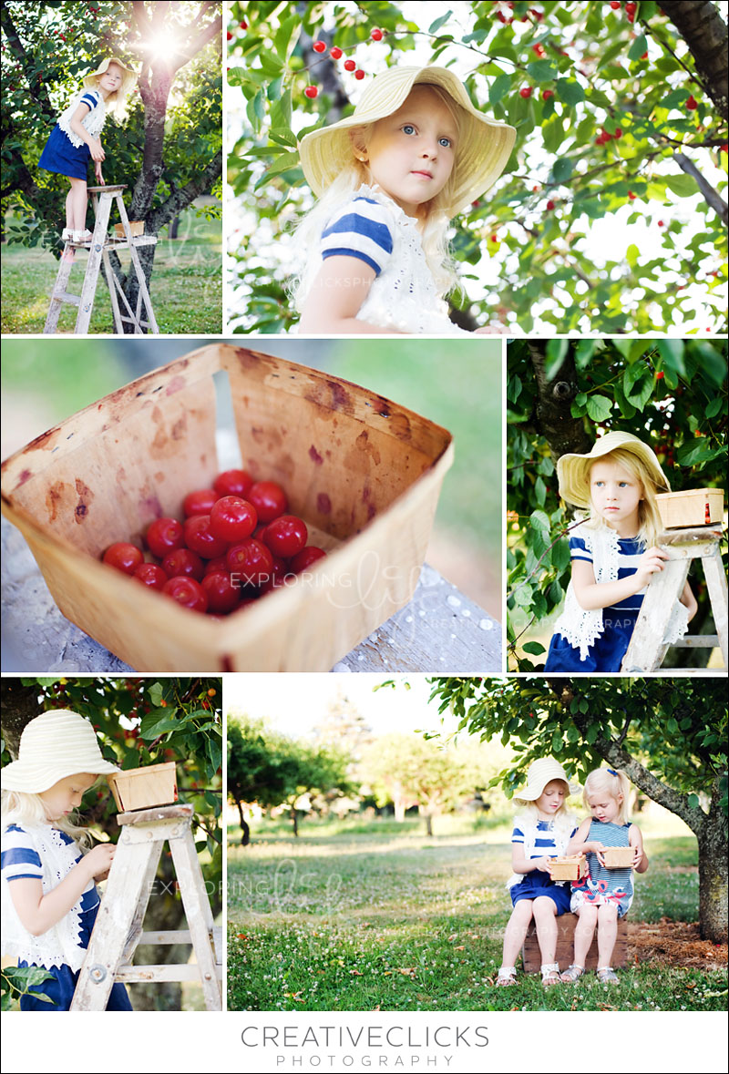 cherry-picking-in-grimsby Grimsby Photography