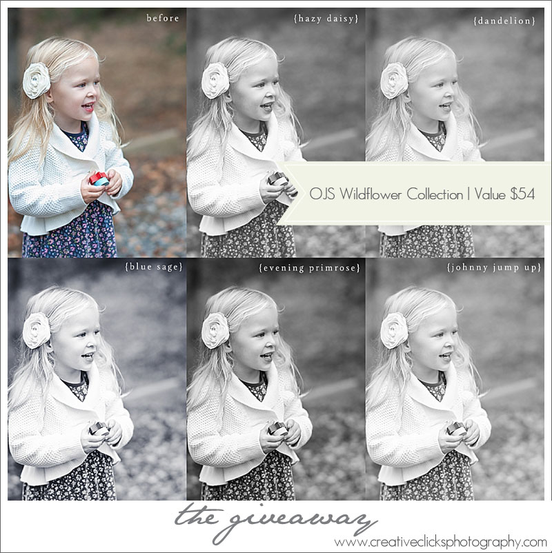 Children's-Photographer-Niagara_164 copy Wildflower Collection from Olive Juice Shoppe