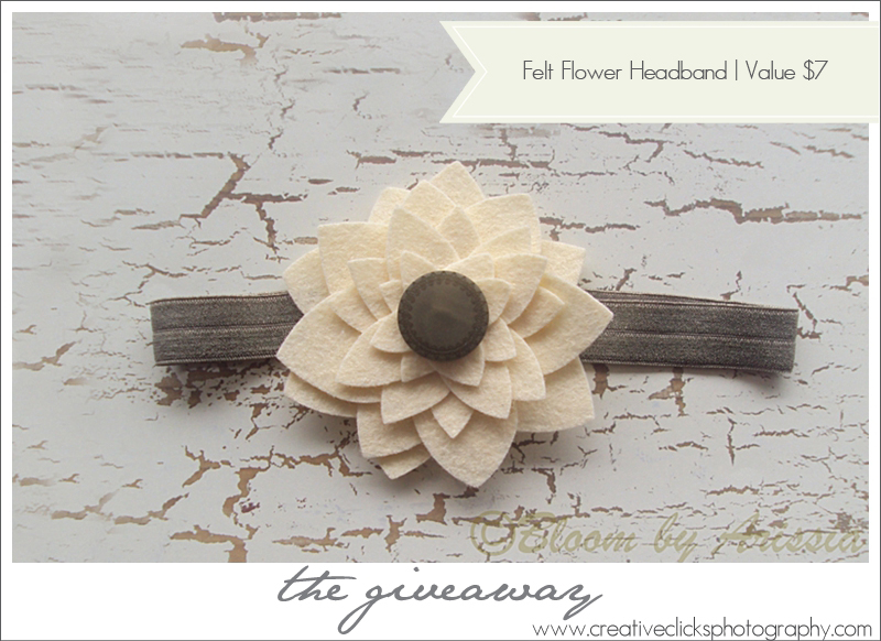 Newborn-Photographer-Niagara_152 copy Felt flower headband giveaway
