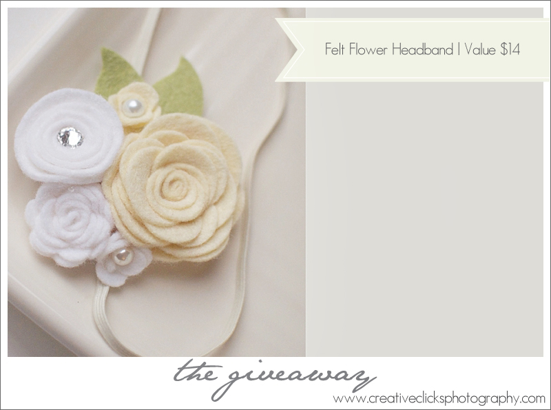Professional-Newborn-Photographer-Niagara_131 copy Felt Flower Headband Newborn Photography Prop