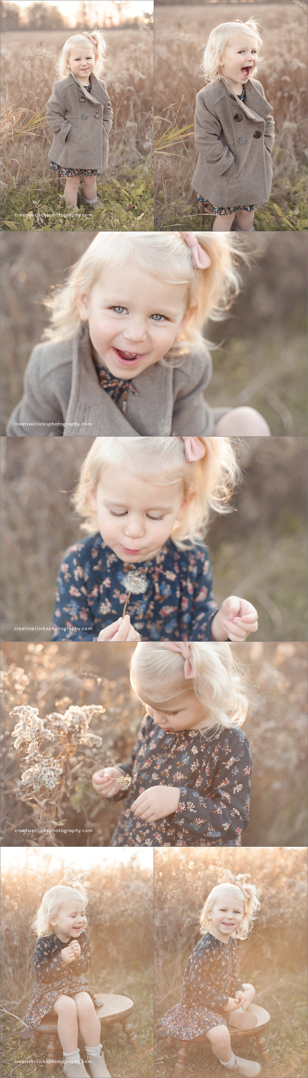 toddler girl in field in golden light